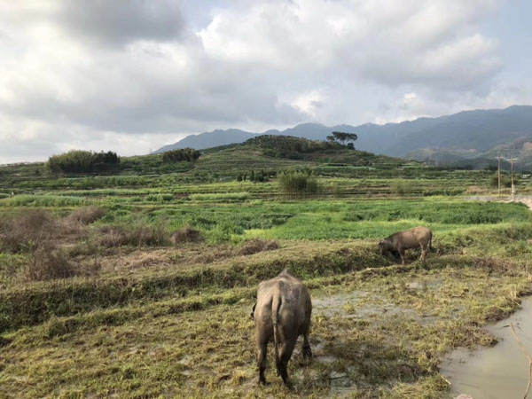 上海律师咨询来讲讲勘验检查的证据没有附勘验检查笔录是否能使用