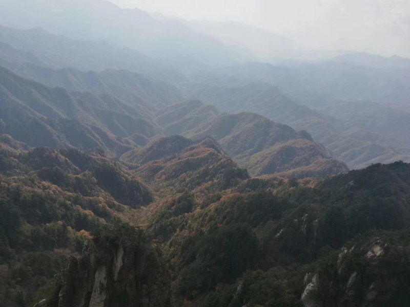 松江区律师事务所为您讲解非法同居在司法实践中是如何处理的