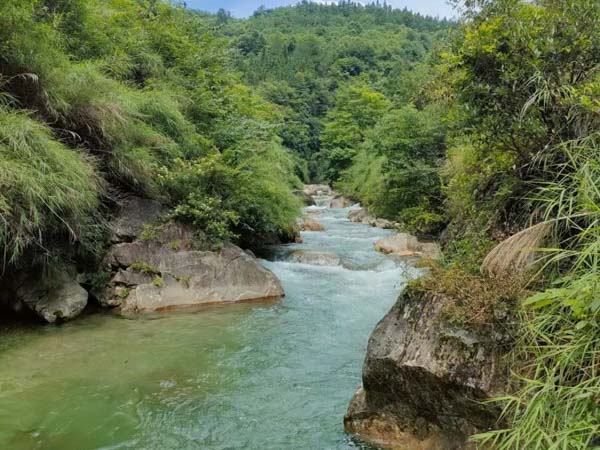 上海劳动纠纷律师来讲讲未签订劳动合同如何支付差额工资