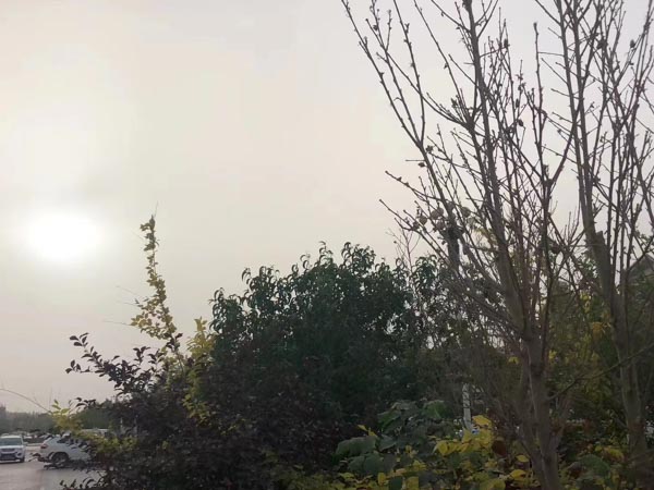 上海十佳律师来讲讲违反行政规章签订租赁合同是否认定租赁合同无效