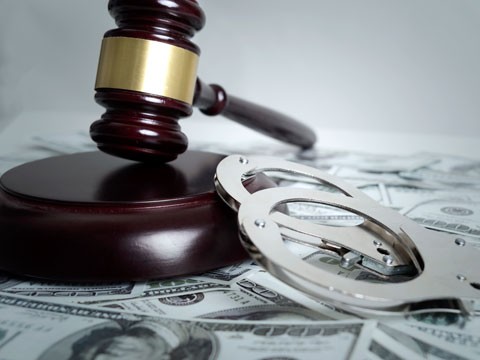 万航渡路律师讲种子套牌侵权典型案例 万航渡路律师讲种子套牌侵权典型案例